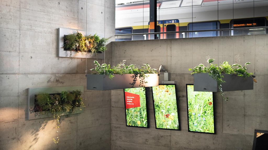 Gare de Delémont avec des bacs à plantes modernes.