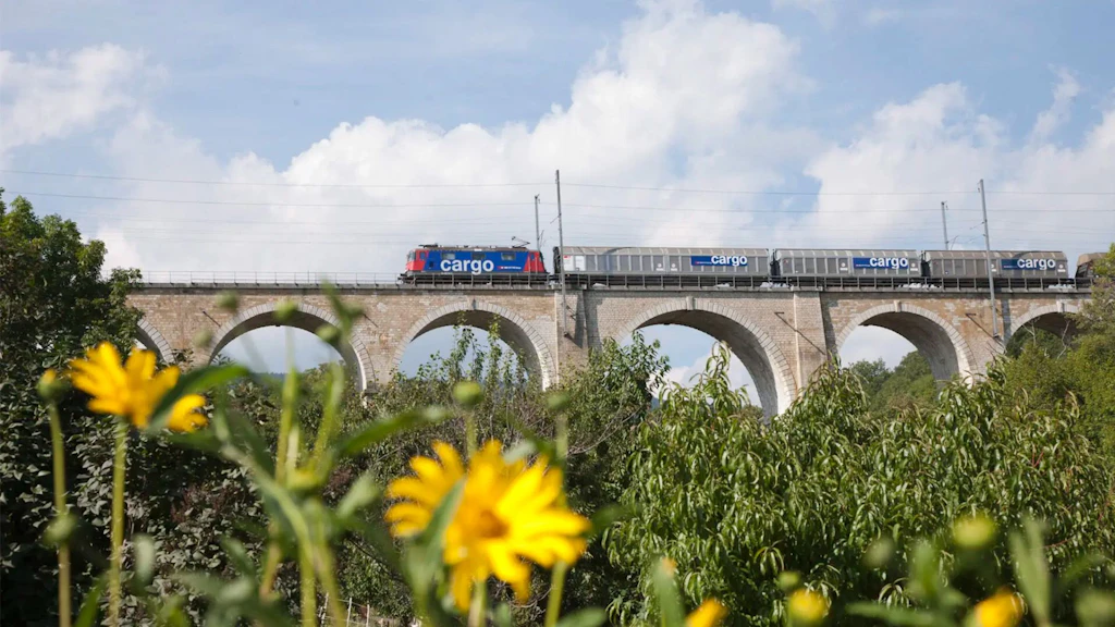 Güterzug von SBB Cargo