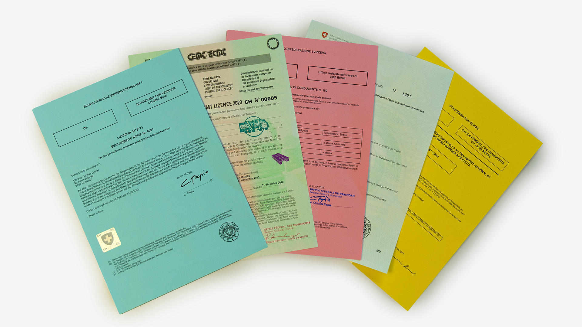 Licence, autorisations CEMT, attestation de conducteur, autorisations de transport de marchandises et certificat de capacité.