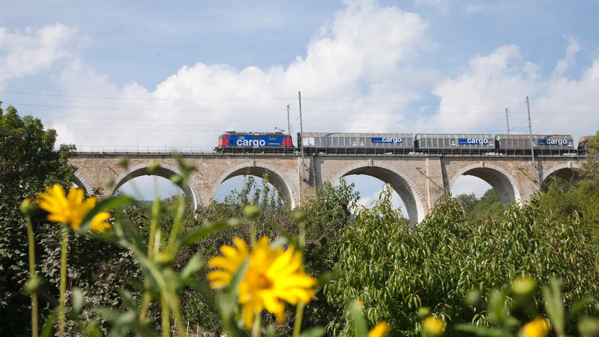 Treno merci di FFS Cargo