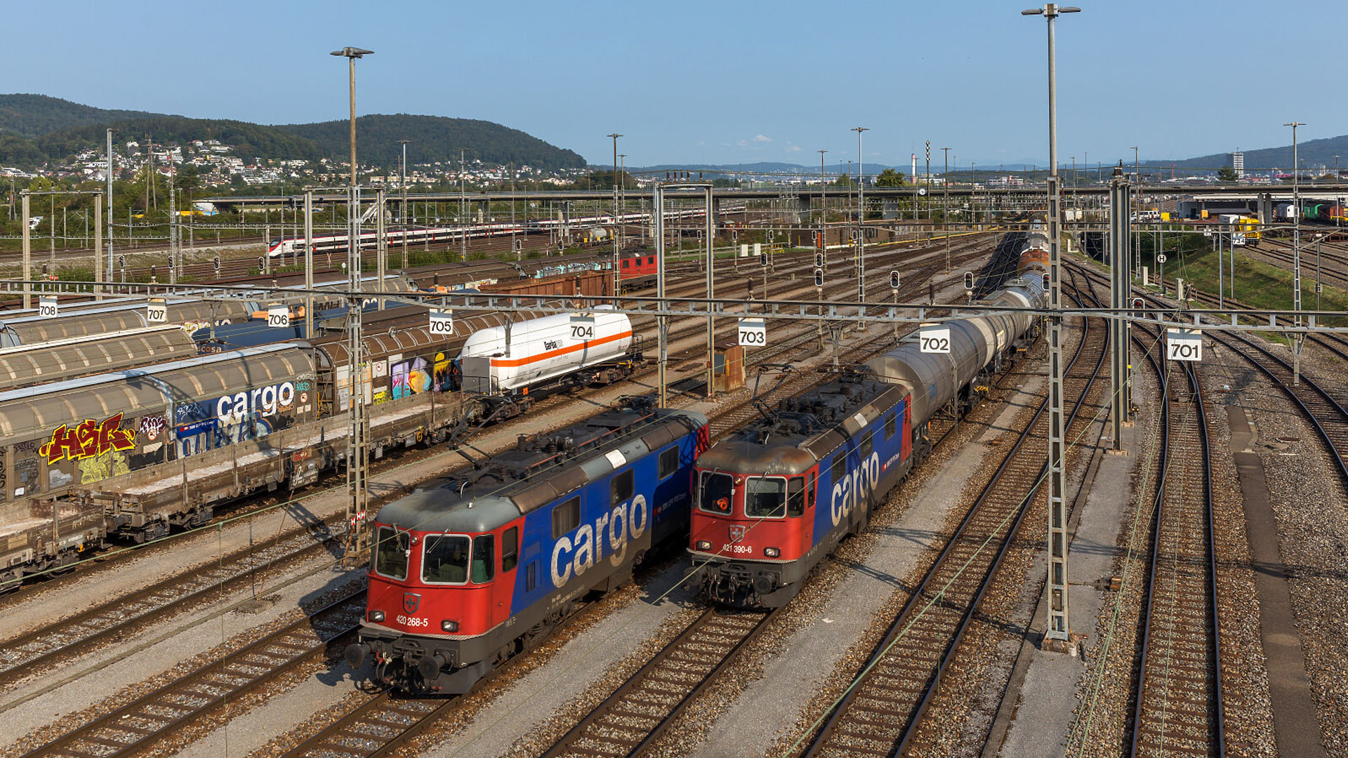 Treni del traffico a carro completo isolato nella stazione di smistamento di Limmattal